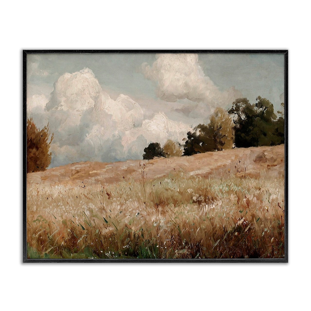 Stupell Industries Classic Cloudy Field Landscape Framed Giclee Art